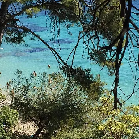 With One Bedroom In Le Lavandou, With Wonderful Mountain Vie Appartamento *